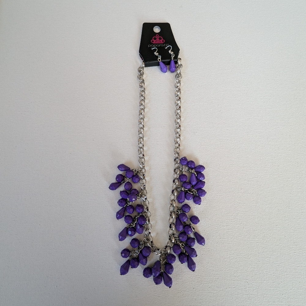 Paparazzi Necklace and Earring set